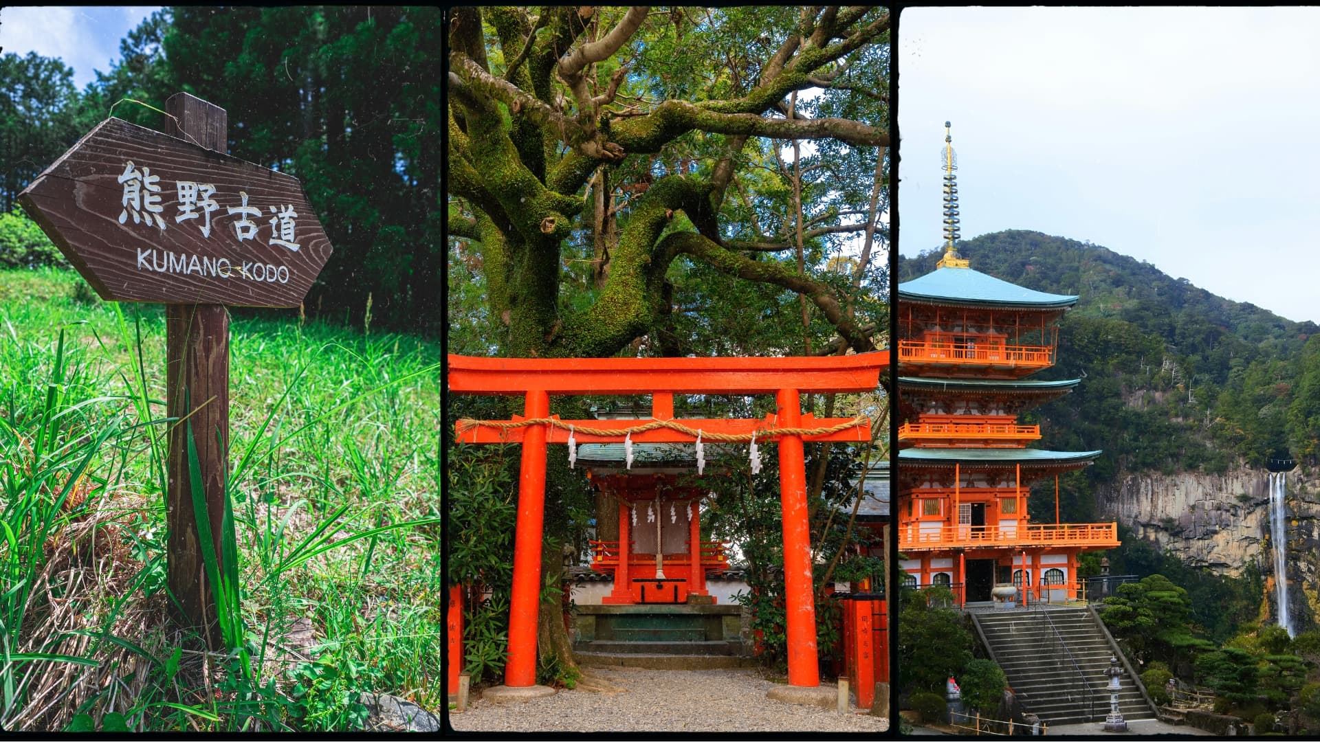 The Kumano World Heritage & Sacred Trails Journey Tour
