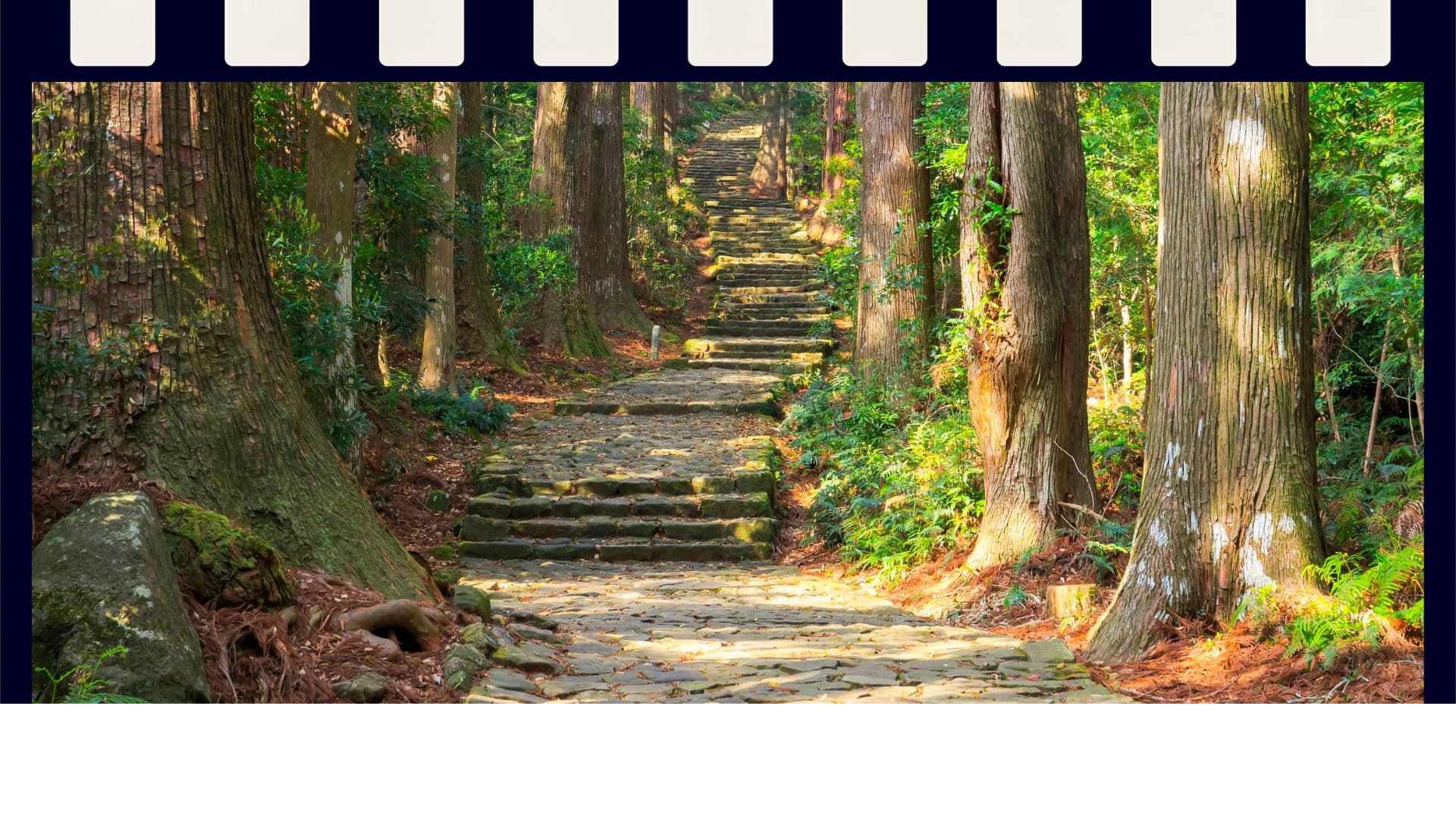 The Kumano World Heritage Journey Hero Background